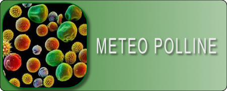 METEOPOLLINE